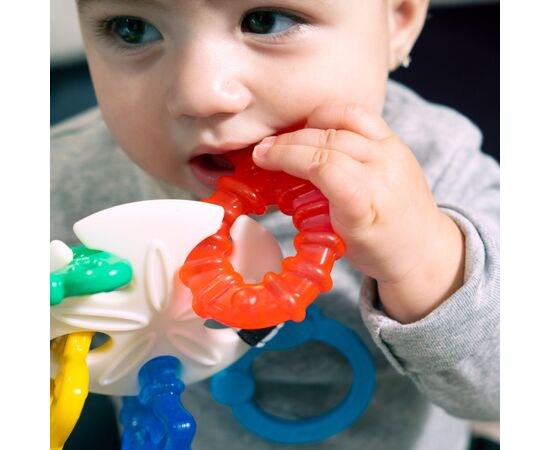 Прорезыватель Baby Einstein Sea of Sensory (13158), изображение 7 Прорезыватель Baby Einstein Sea of Sensory (13158), изображение 7