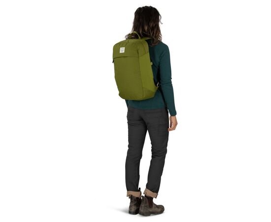 Рюкзак туристический Osprey Arcane Large Day matcha green heather O/S (009.001.0200), изображение 6
