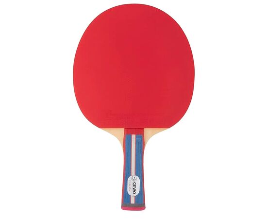 Ракетка для настольного тенниса Gewo Standard Pro FL (600300001) (931331)