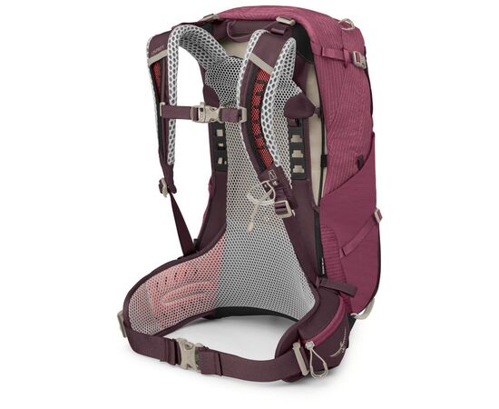 Рюкзак туристический Osprey Sirrus 24 elderberry purple/chiru tan O/S (009.3593), изображение 2 Рюкзак туристический Osprey Sirrus 24 elderberry purple/chiru tan O/S (009.3593), изображение 2