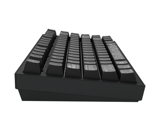 Клавиатура Dark Project ALU81 Terra Nova PBT RGB Mech G3MS Moonstone Black (DPKB_NOVA_81_ANSI_BLACK_UA), изображение 8 Клавиатура Dark Project ALU81 Terra Nova PBT RGB Mech G3MS Moonstone Black (DPKB_NOVA_81_ANSI_BLACK_UA), изображение 8
