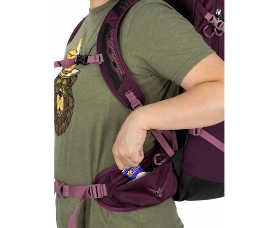 Рюкзак туристический Osprey Sportlite 25 aubergine purple S/M (009.3036), изображение 9