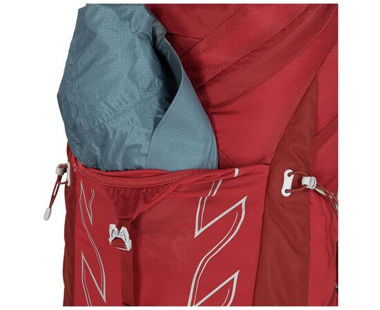 Рюкзак туристический Osprey Talon 36 green belt/black L/XL (009.3577), изображение 10 Рюкзак туристический Osprey Talon 36 green belt/black L/XL (009.3577), изображение 10