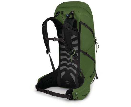 Рюкзак туристический Osprey Talon 36 green belt/black L/XL (009.3577), изображение 3 Рюкзак туристический Osprey Talon 36 green belt/black L/XL (009.3577), изображение 3