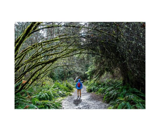 Рюкзак туристический Exped Cloudburst 15 burgundy (018.1140), изображение 10 Рюкзак туристический Exped Cloudburst 15 burgundy (018.1140), изображение 10