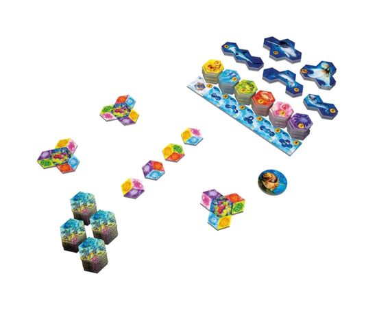 Настольная игра Lord of Boards Aqua. Океанское биоразнообразие (AQUA: Biodiversity in the oceans) (укр.) (LOB2331UA), изображение 2 Настольная игра Lord of Boards Aqua. Океанское биоразнообразие (AQUA: Biodiversity in the oceans) (укр.) (LOB2331UA), изображение 2