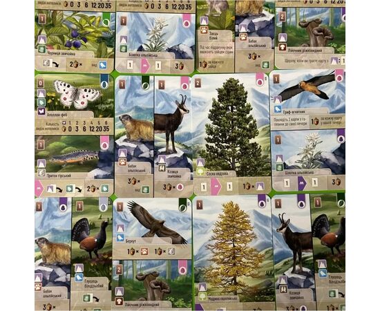 Настольная игра Lord of Boards Лесная суета. Альпы (Forest Shuffle: Alpine Expansion) (укр.) дополнение (LOB2405UA), изображение 4 Настольная игра Lord of Boards Лесная суета. Альпы (Forest Shuffle: Alpine Expansion) (укр.) дополнение (LOB2405UA), изображение 4