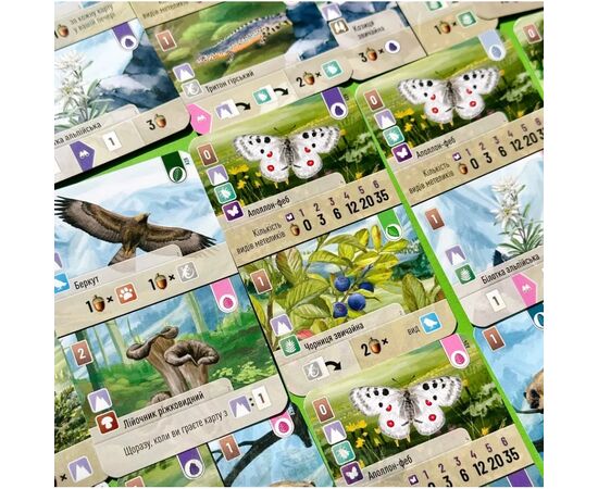 Настольная игра Lord of Boards Лесная суета. Альпы (Forest Shuffle: Alpine Expansion) (укр.) дополнение (LOB2405UA), изображение 5 Настольная игра Lord of Boards Лесная суета. Альпы (Forest Shuffle: Alpine Expansion) (укр.) дополнение (LOB2405UA), изображение 5