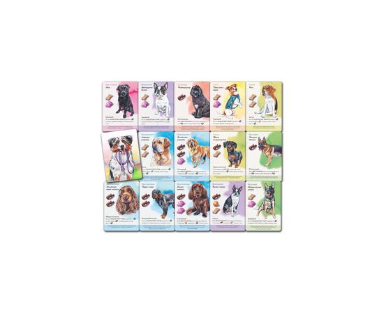 Настольная игра Games 7 Days Парк собак (Dog Park) (укр.) (DP001U), изображение 8 Настольная игра Games 7 Days Парк собак (Dog Park) (укр.) (DP001U), изображение 8