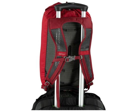 Рюкзак туристический Osprey Daylite Cinch Pack tumbleweed yellow/tunnel vision - O/S - жовтий/бірюзовий (009.3736), изображение 7 Рюкзак туристический Osprey Daylite Cinch Pack tumbleweed yellow/tunnel vision - O/S - жовтий/бірюзовий (009.3736), изображение 7