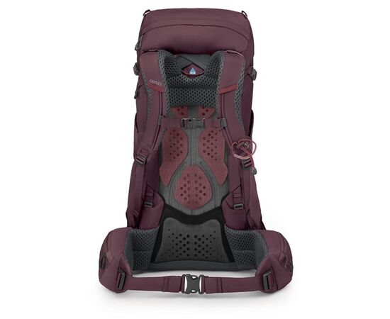 Рюкзак туристический Osprey Kyte 38 elderberry purple - WM/L - фіолетовий (009.3695), изображение 3 Рюкзак туристический Osprey Kyte 38 elderberry purple - WM/L - фіолетовий (009.3695), изображение 3