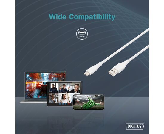 Дата кабель USB 2.0 AM to Type-C 1.0m 60W white Digitus (AK-300340-010-W), изображение 11 Дата кабель USB 2.0 AM to Type-C 1.0m 60W white Digitus (AK-300340-010-W), изображение 11