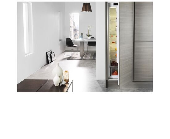 Холодильник Whirlpool ARG 18082 (ARG18082A++), изображение 3