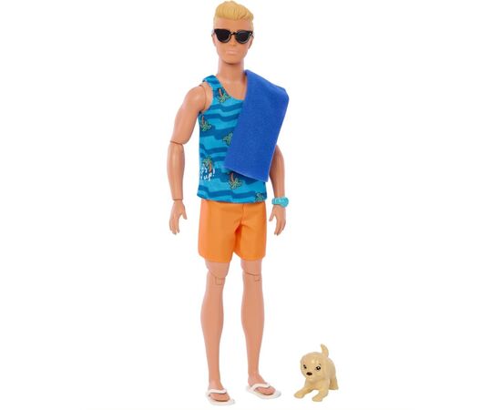 Кукла Barbie Кен Лучший серфер (HPT50), изображение 3 Кукла Barbie Кен Лучший серфер (HPT50), изображение 3