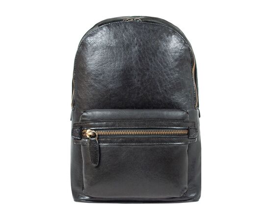 Рюкзак туристический Ashwood G38 Black