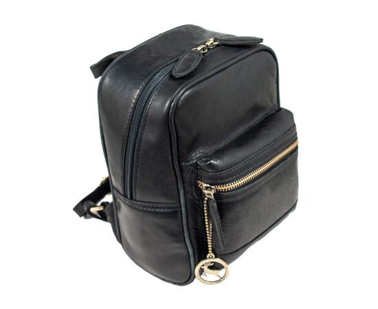 Рюкзак туристичний Ashwood T87 Black, зображення 2 Рюкзак туристичний Ashwood T87 Black, зображення 2