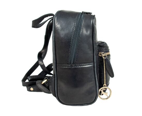 Рюкзак туристичний Ashwood T87 Black, зображення 3 Рюкзак туристичний Ashwood T87 Black, зображення 3