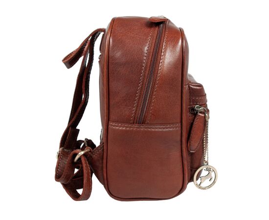 Рюкзак туристичний Ashwood T87 Chestnut, зображення 3 Рюкзак туристичний Ashwood T87 Chestnut, зображення 3