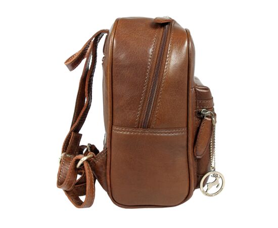 Рюкзак туристический Ashwood T87 Honey, изображение 3 Рюкзак туристический Ashwood T87 Honey, изображение 3
