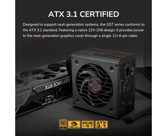 Блок питания Cougar 750W (GST750), изображение 9 Блок питания Cougar 750W (GST750), изображение 9