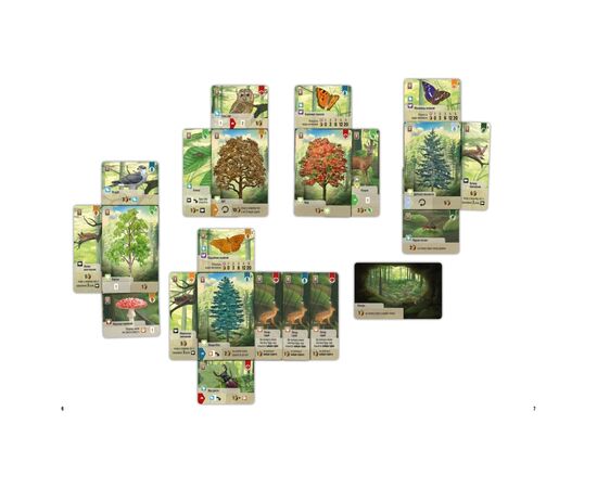 Настольная игра Lord of Boards Лесная суета (Forest Shuffle) (LOB2329UA), изображение 2 Настольная игра Lord of Boards Лесная суета (Forest Shuffle) (LOB2329UA), изображение 2