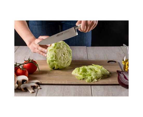 Кухонний ніж Arcos Riviera White 200 мм (233624), зображення 9 Кухонний ніж Arcos Riviera White 200 мм (233624), зображення 9