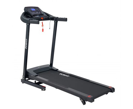 Беговая дорожка Ecofit E-2401, изображение 2 Беговая дорожка Ecofit E-2401, изображение 2