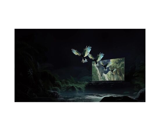 Телевизор Xiaomi TV S Mini LED 55 2025, изображение 9 Телевизор Xiaomi TV S Mini LED 55 2025, изображение 9