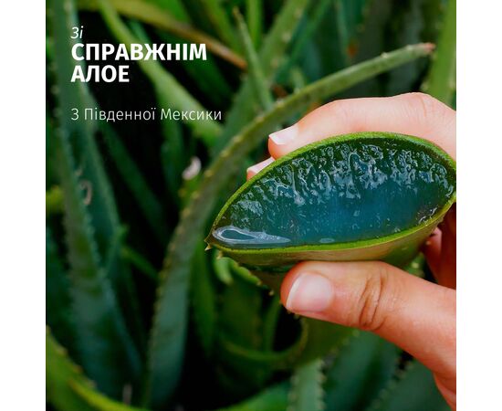 Шампунь Herbal Essences Зволоження Алое 350 мл (8700216211048), зображення 2 Шампунь Herbal Essences Зволоження Алое 350 мл (8700216211048), зображення 2