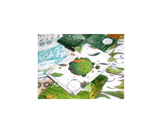 Настольная игра Games 7 Days Evergreen. Зеленая планета (Evergreen) (укр.) (EVG001UA), изображение 7