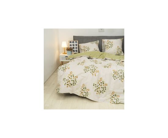 Постельное белье Viluta 24294 Ранфорс евро (24294_ev), изображение 2 Постельное белье Viluta 24294 Ранфорс евро (24294_ev), изображение 2