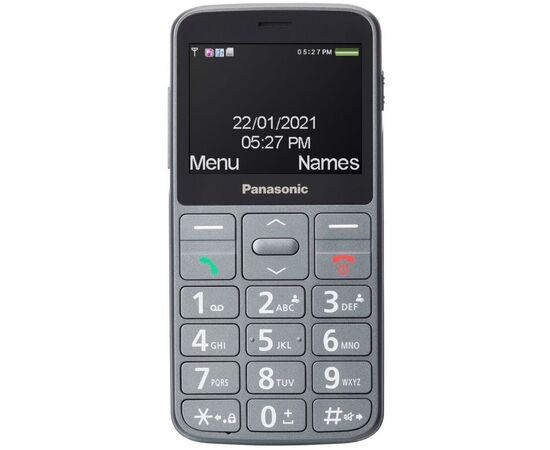 Мобильный телефон Panasonic KX-TU160 Grey (KX-TU160EXG)