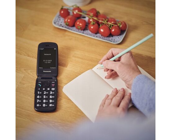 Мобильный телефон Panasonic KX-TU550 Red (KX-TU550EXR), изображение 11