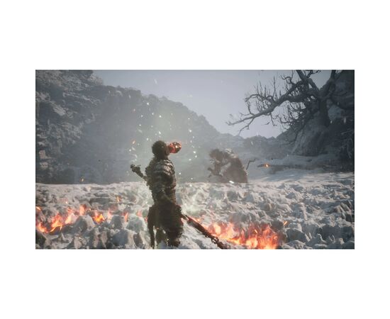 Игра Sony Black Myth: Wukong, BD диск (5056635611864), изображение 6 Игра Sony Black Myth: Wukong, BD диск (5056635611864), изображение 6