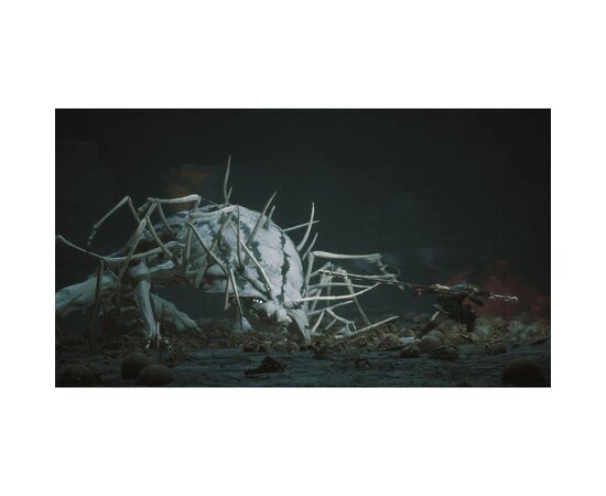 Игра Sony Black Myth: Wukong, BD диск (5056635611864), изображение 7 Игра Sony Black Myth: Wukong, BD диск (5056635611864), изображение 7