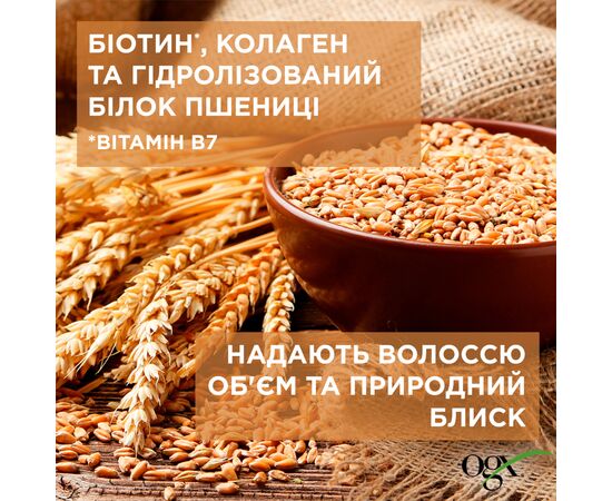 Кондиционер для волос OGX Biotin & Collagen для лишенных объема, тонких волос 385 мл (0022796976710), изображение 6 Кондиционер для волос OGX Biotin & Collagen для лишенных объема, тонких волос 385 мл (0022796976710), изображение 6