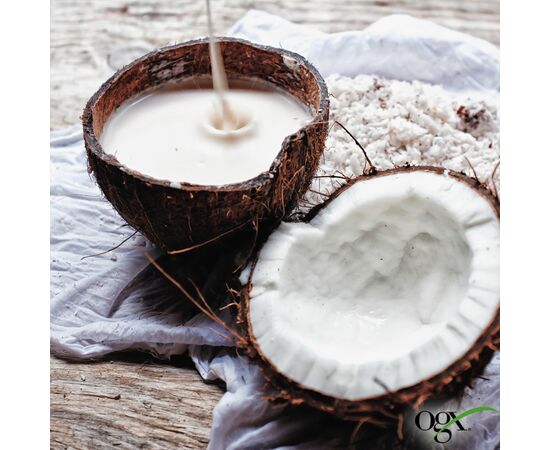 Шампунь OGX Coconut Milk Питательный с кокосовым молоком 385 мл (0022796970053), изображение 9 Шампунь OGX Coconut Milk Питательный с кокосовым молоком 385 мл (0022796970053), изображение 9