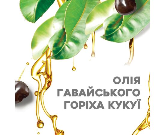 Шампунь OGX Kukui Oil Увлажнение и гладкость 385 мл (0022796974211), изображение 5 Шампунь OGX Kukui Oil Увлажнение и гладкость 385 мл (0022796974211), изображение 5