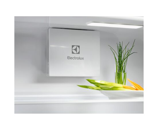Холодильник Electrolux ERD6DE18S1, изображение 6 Холодильник Electrolux ERD6DE18S1, изображение 6