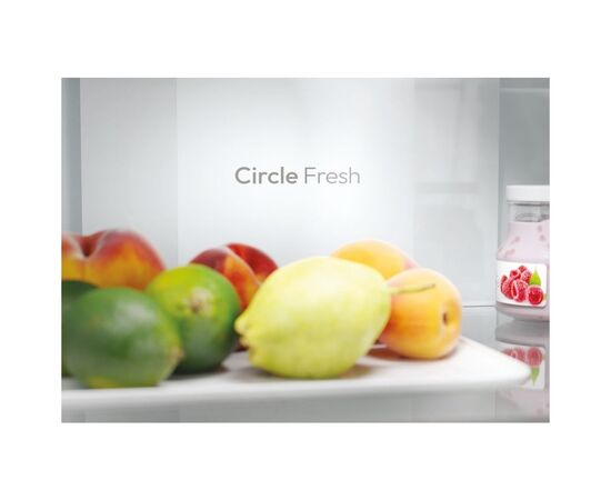 Холодильник Candy ECN2CQTEX206, зображення 11 Холодильник Candy ECN2CQTEX206, зображення 11