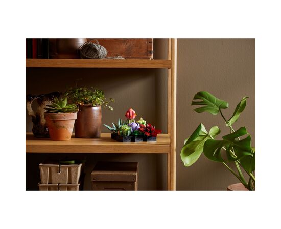 Конструктор LEGO Botanicals Сукуленти (10309-), зображення 11 Конструктор LEGO Botanicals Сукуленти (10309-), зображення 11