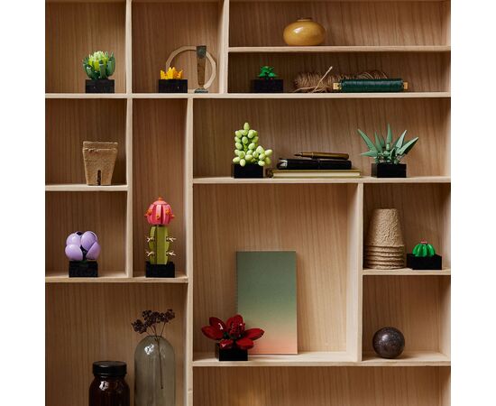 Конструктор LEGO Botanicals Сукуленти (10309-), зображення 12 Конструктор LEGO Botanicals Сукуленти (10309-), зображення 12