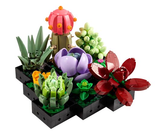 Конструктор LEGO Botanicals Сукуленти (10309-), зображення 2 Конструктор LEGO Botanicals Сукуленти (10309-), зображення 2