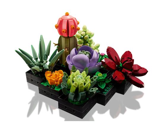 Конструктор LEGO Botanicals Сукуленти (10309-), зображення 3 Конструктор LEGO Botanicals Сукуленти (10309-), зображення 3