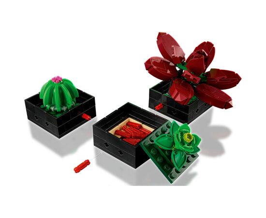 Конструктор LEGO Botanicals Сукуленти (10309-), зображення 6 Конструктор LEGO Botanicals Сукуленти (10309-), зображення 6