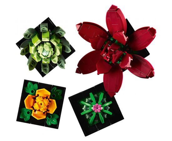 Конструктор LEGO Botanicals Сукуленти (10309-), зображення 8 Конструктор LEGO Botanicals Сукуленти (10309-), зображення 8