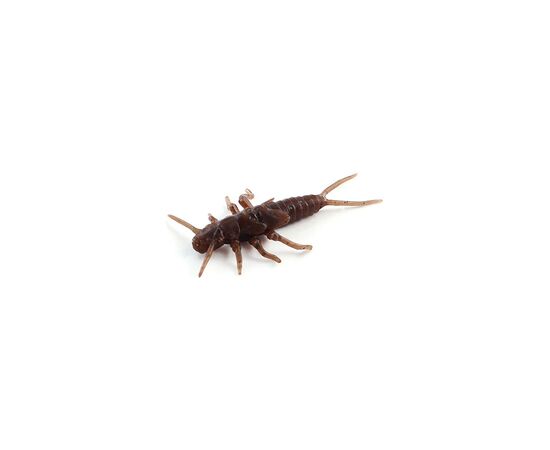 Силікон рибальський FishUP Stonefly 0.75" 012 - Chaos (12шт/уп) (1864.00.36)