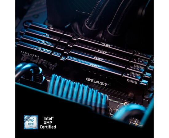 Модуль памяти для компьютера DDR5 32GB (2x16GB) 5600 MHz Beast AM5 Black Kingston Fury (ex.HyperX) (KF556C36BBEK2-32), изображение 6 Модуль памяти для компьютера DDR5 32GB (2x16GB) 5600 MHz Beast AM5 Black Kingston Fury (ex.HyperX) (KF556C36BBEK2-32), изображение 6