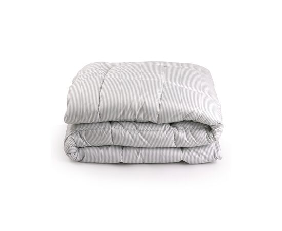 Одеяло Руно Elegante 140х205 + подушка 50х70 (924.52_Elegante), изображение 2 Одеяло Руно Elegante 140х205 + подушка 50х70 (924.52_Elegante), изображение 2