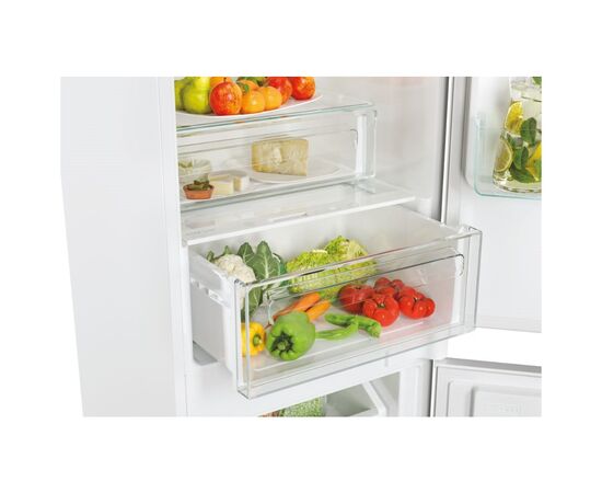 Холодильник Candy CCUBT 5519 EW (CCUBT5519EW), зображення 3 Холодильник Candy CCUBT 5519 EW (CCUBT5519EW), зображення 3